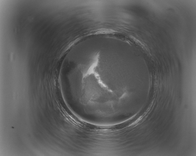 X0000083651401200702121138