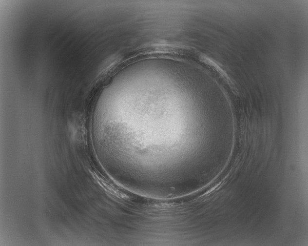 X0000083651403200702121138
