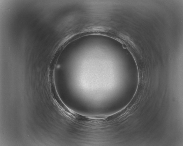 X0000083651404200702121138