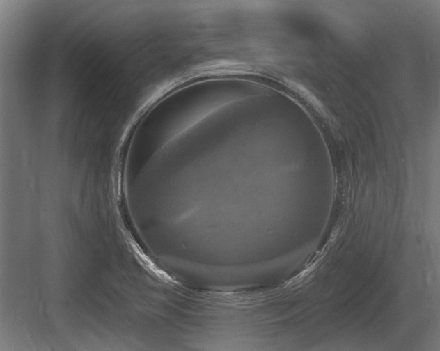 X0000083651413200702121138