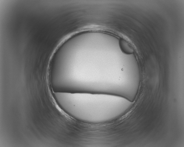 X0000083651421200702121138