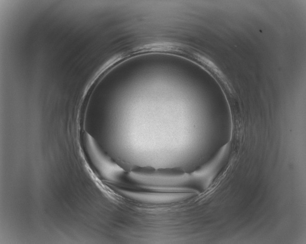 X0000083651426200702121138