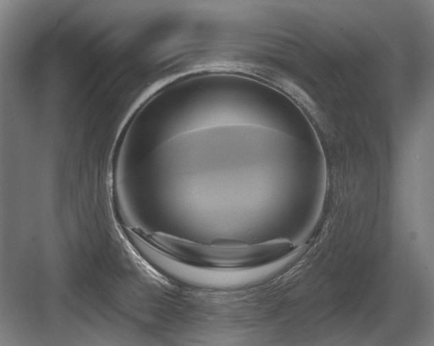 X0000083651428200702121138