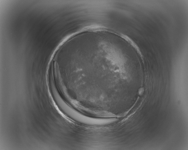 X0000083651429200702121138