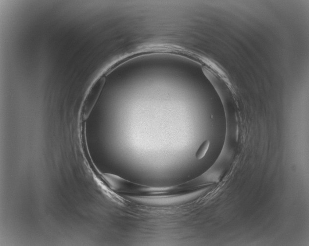 X0000083651430200702121138