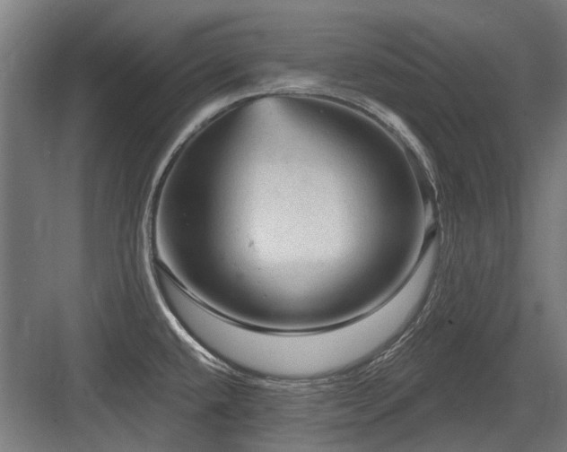 X0000083651432200702121138