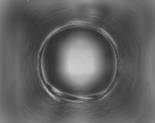 X0000083651437200702121138