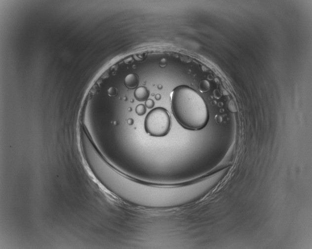 X0000083651440200702121138