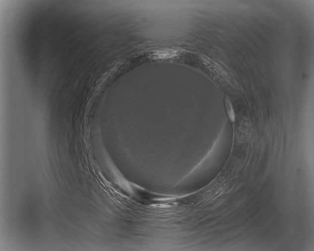 X0000083651441200702121138