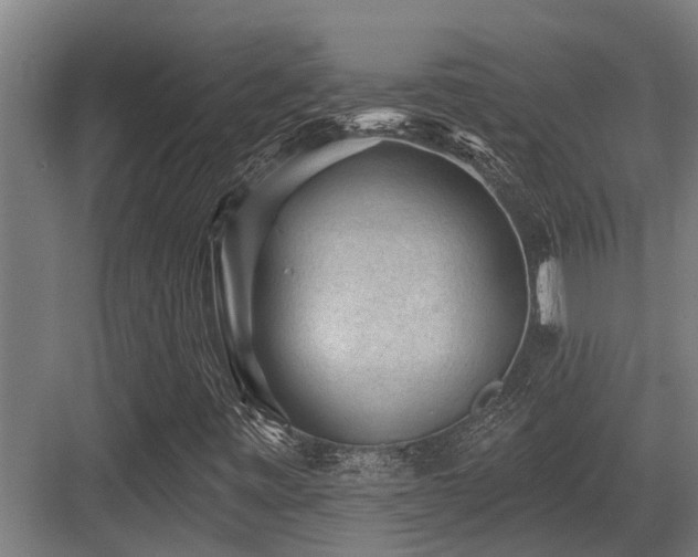 X0000083651443200702121138