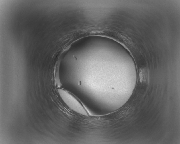 X0000083651444200702121138
