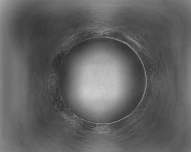 X0000083651447200702121138