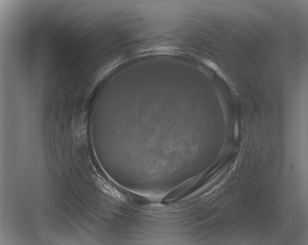 X0000083651450200702121138