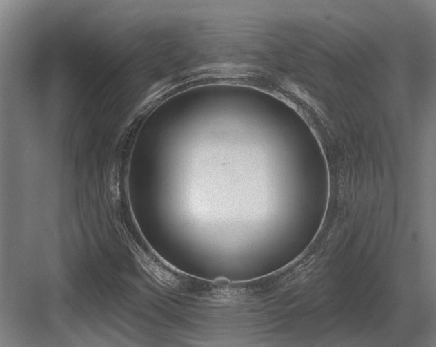 X0000083651451200702121137
