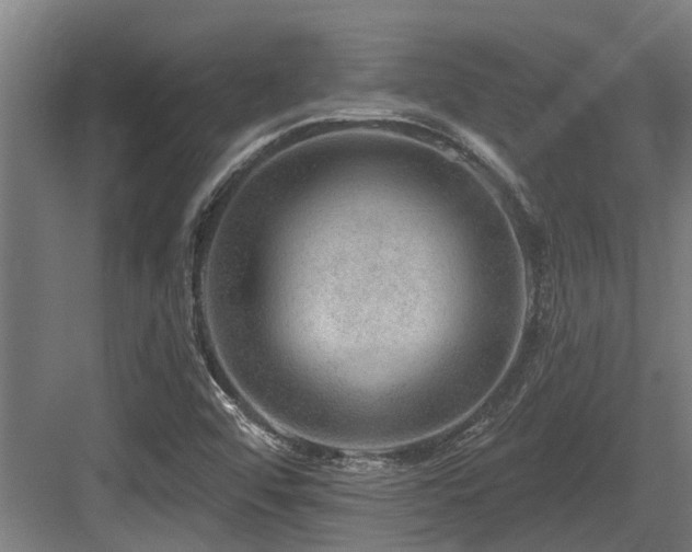 X0000083651456200702121137