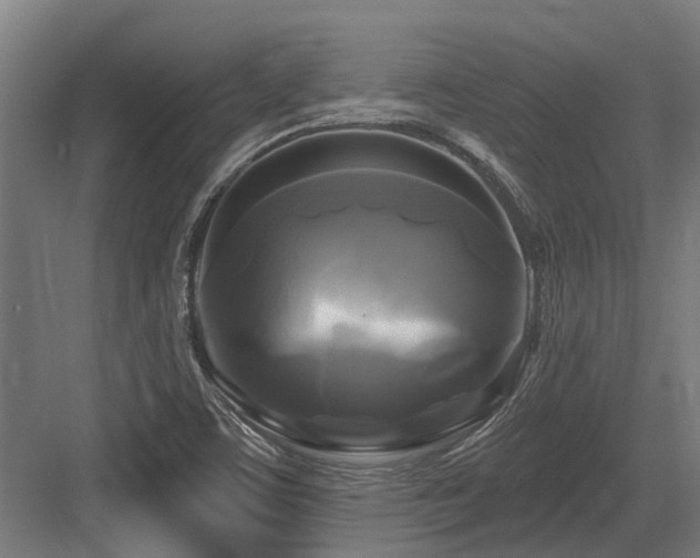 X0000083651459200702121137