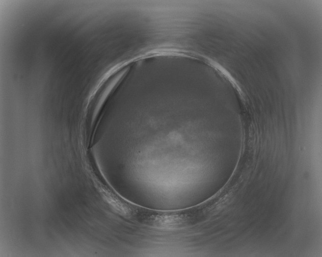 X0000083651461200702121137