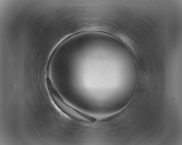X0000083651476200702121137