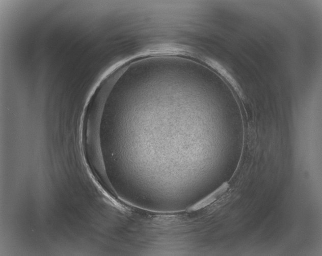 X0000083651477200702121137