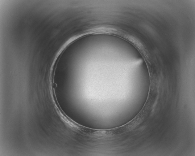 X0000083651478200702121137