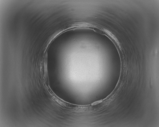 X0000083651481200702121137