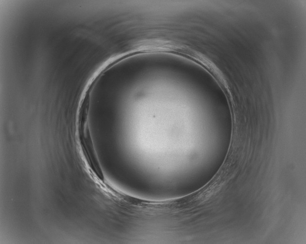 X0000083651488200702121137