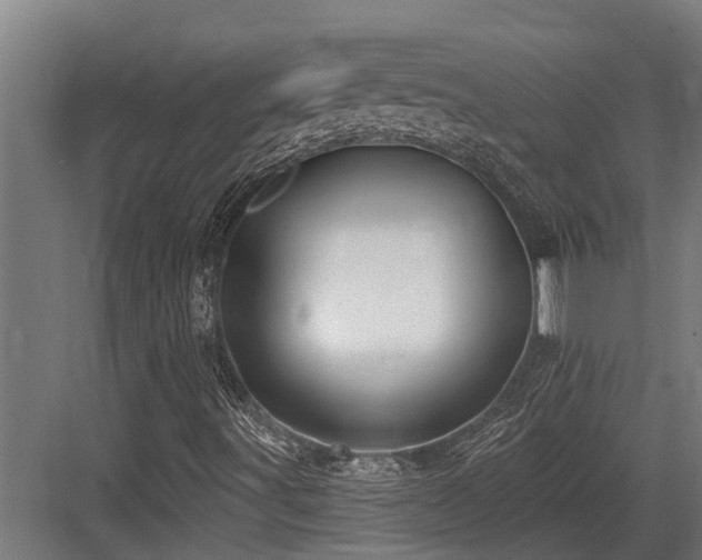 X0000083651491200702121136