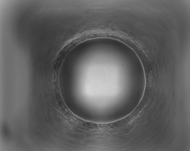 X0000083651494200702121136