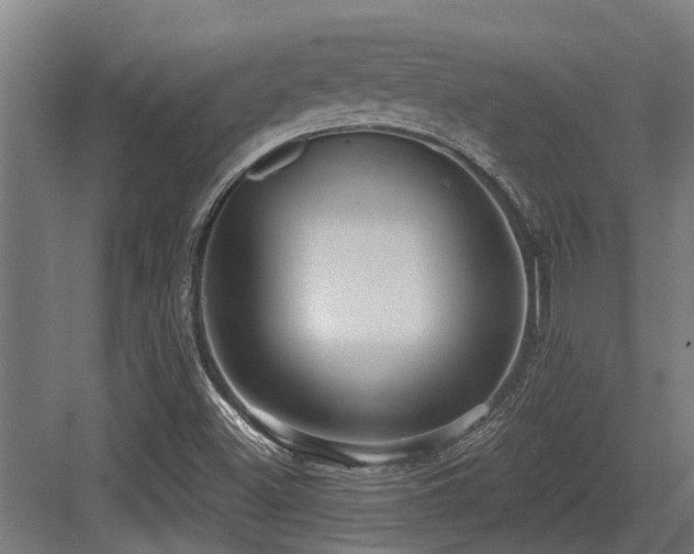X0000083651500200702121136
