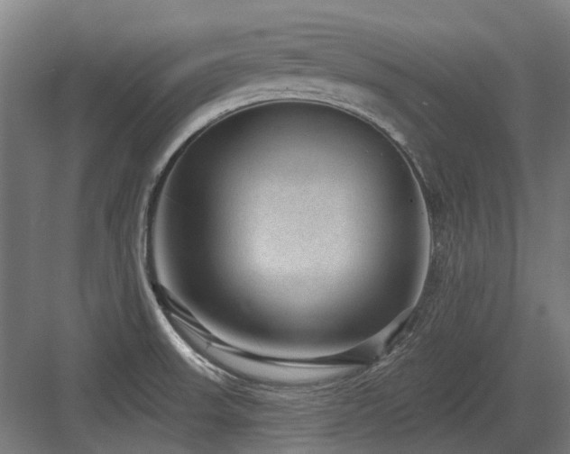 X0000083651523200702121137