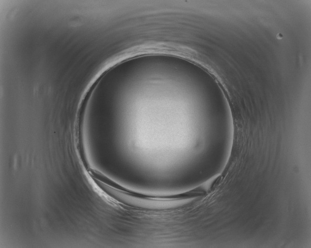 X0000083651531200702121137