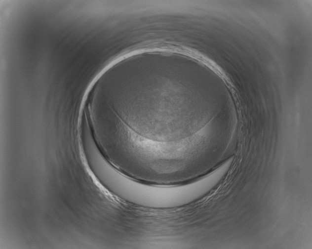 X0000083651536200702121137