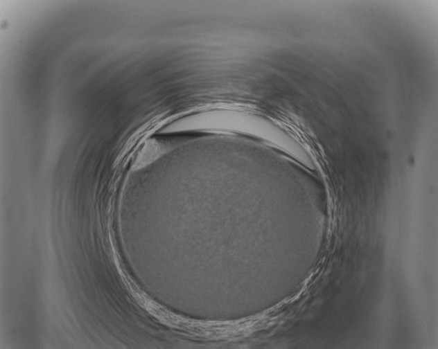 X0000083650001200702201446