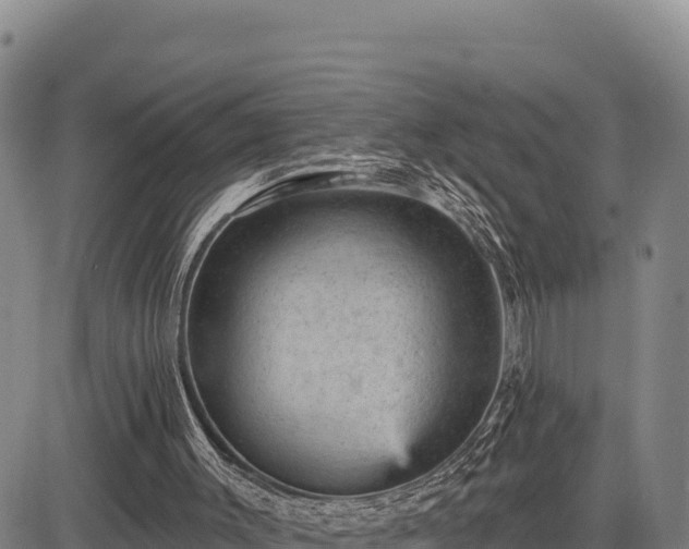X0000083650003200702201446