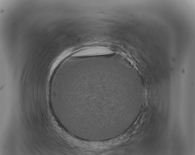 X0000083650006200702201446