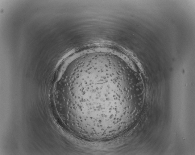 X0000083650010200702201446