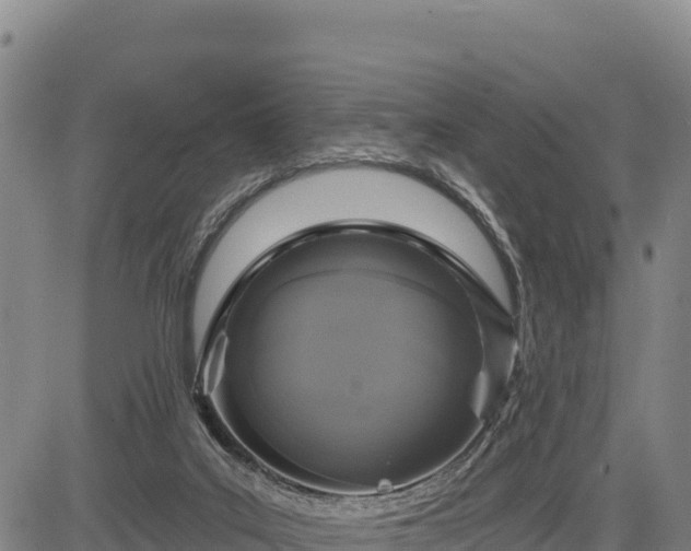 X0000083650019200702201446
