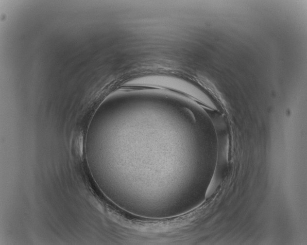 X0000083650021200702201446