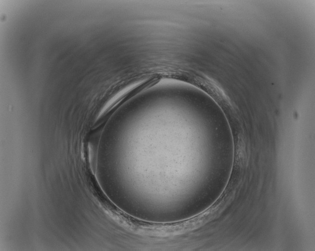 X0000083650025200702201446