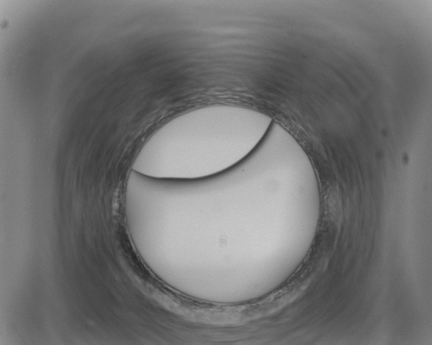 X0000083650032200702201446