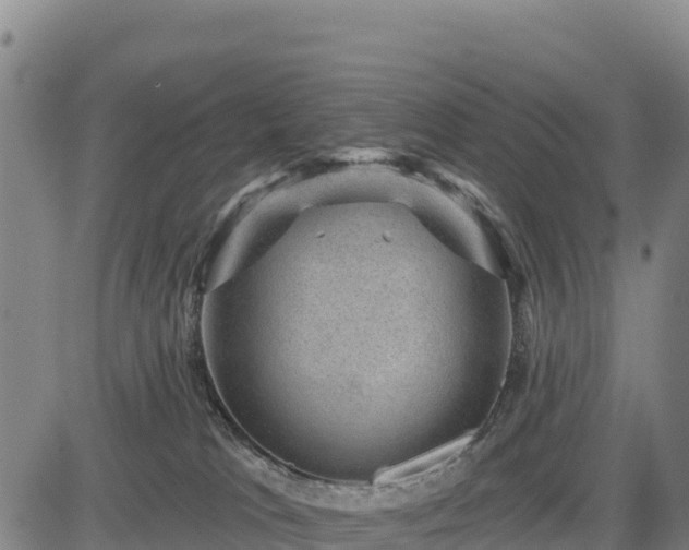 X0000083650037200702201445