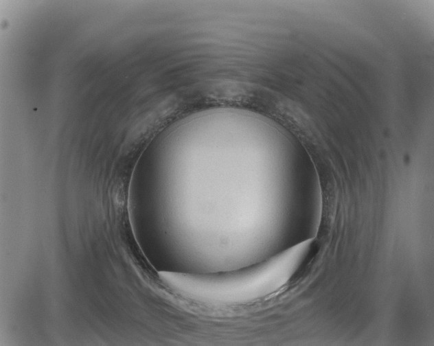 X0000083650040200702201445