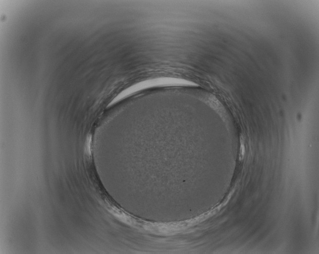 X0000083650041200702201445