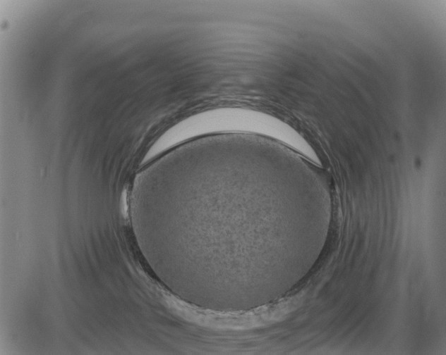 X0000083650042200702201445