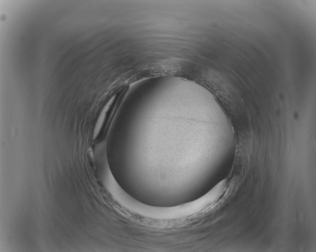 X0000083650045200702201445