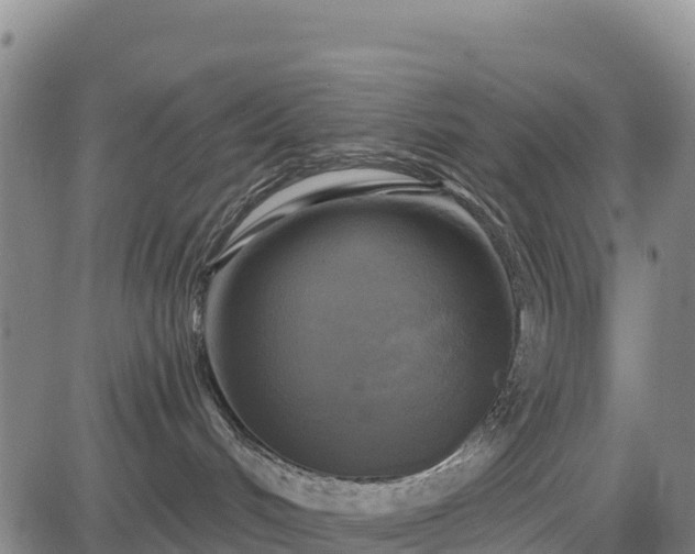 X0000083650048200702201445