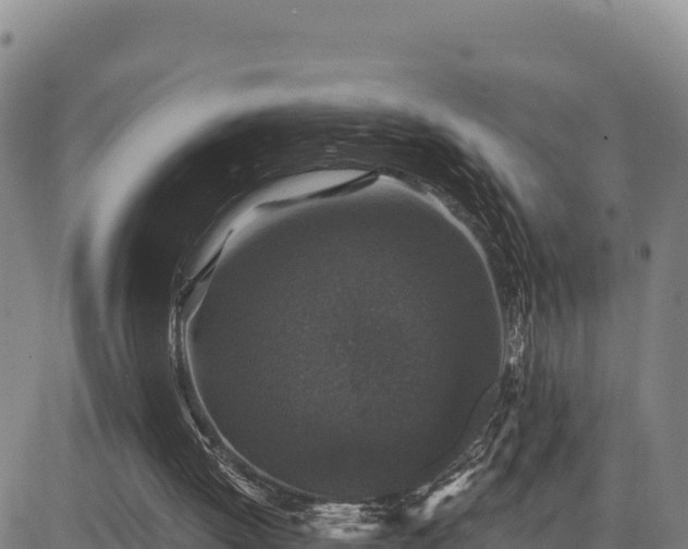 X0000083650052200702201445