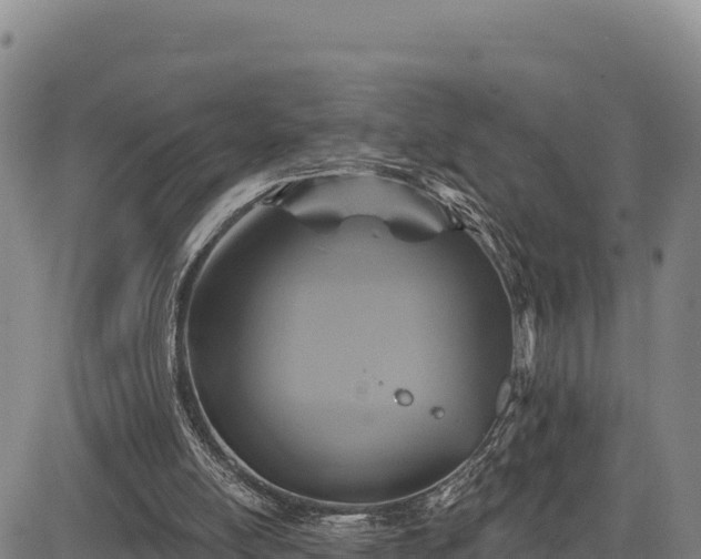 X0000083650054200702201445