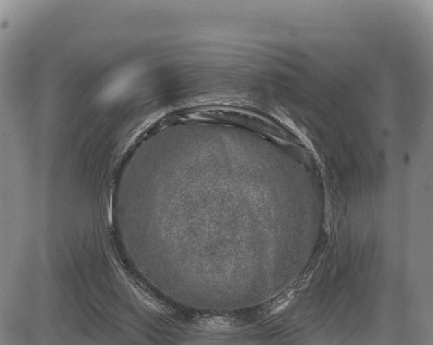X0000083650062200702201445