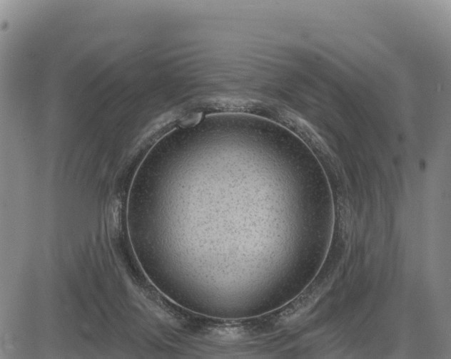 X0000083650071200702201445